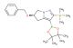 (R)-5-(benzyloxy)-3-(4,4,5,5-tetramethyl-1,3,2-dioxaborolan-2-yl)-2-(trimethylsilyl)-5,6-dihydro-4H-pyrrolo[1,2-b]pyrazole