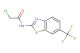 2-chloro-N-(6-(trifluoromethyl)benzo[d]thiazol-2-yl)acetamide