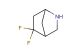 5,5-difluoro-2-azabicyclo[2.2.1]heptane