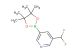 3-(difluoromethyl)-5-(4,4,5,5-tetramethyl-1,3,2-dioxaborolan-2-yl)pyridine