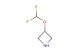 3-(difluoromethoxy)azetidine