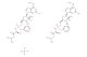 Bemnifosbuvir hemisulfate; AT-527