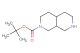 tert-butyl octahydro-2,7-naphthyridine-2(1H)-carboxylate