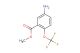 methyl 5-amino-2-(trifluoromethoxy)benzoate