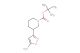 3-(5-amino-1H-isoxazol-3-yl)-piperidine-1-carboxylic acid tert-butyl ester