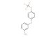 3-(4-trifluoromethoxy-phenoxy)-phenylamine