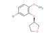 (R)-3-(5-bromo-2-methoxyphenoxy)tetrahydrofuran