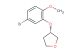 (S)-3-(5-bromo-2-methoxyphenoxy)tetrahydrofuran