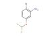 2-bromo-5-(difluoromethoxy)aniline