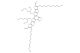 12,13-bis(2-ethylhexyl)-3,9-diundecyl-12,13-dihydro-[1,2,5]thiadiazolo[3,4-e]thieno[2'',3'':4',5']thieno[2',3':4,5]pyrrolo[3,2-g]thieno[2',3':4,5]thieno[3,2-b]indole-2,10-dicarbaldehyde