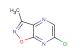 6-chloro-3-methyl-[1,2]oxazolo[4,5-b]pyrazine